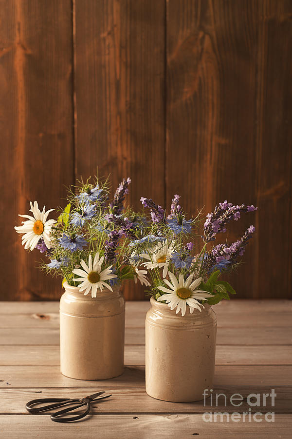 Still Life Photograph - Ceramic Pots Filled With Flowers by Amanda Elwell