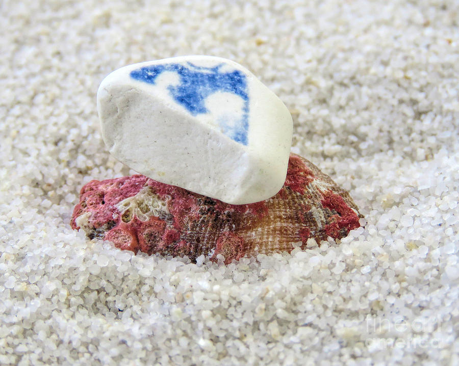 Ceramic Sea Glass and Seashell Photograph by Janice Drew