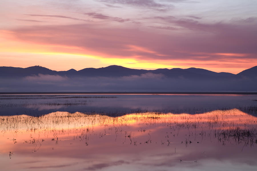 Cerknica lake at dawn Photograph by Ian Middleton