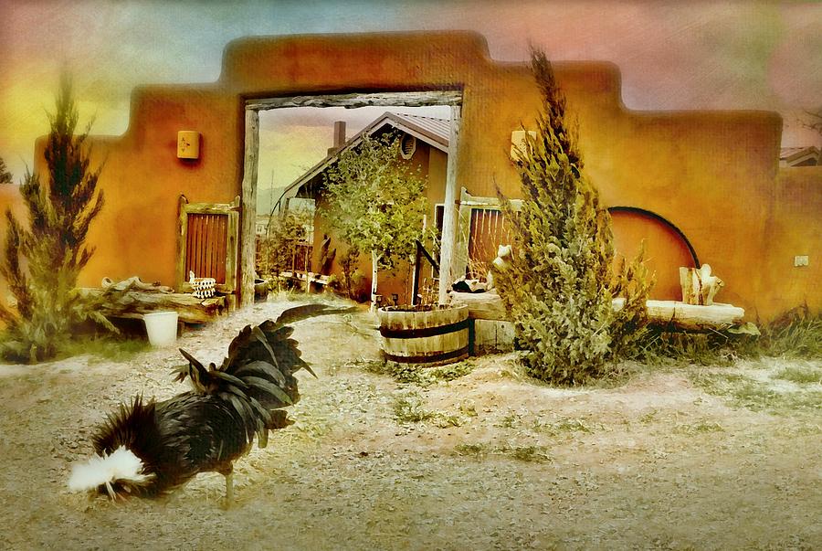 Cerrillos Rooster Photograph by Diana Angstadt