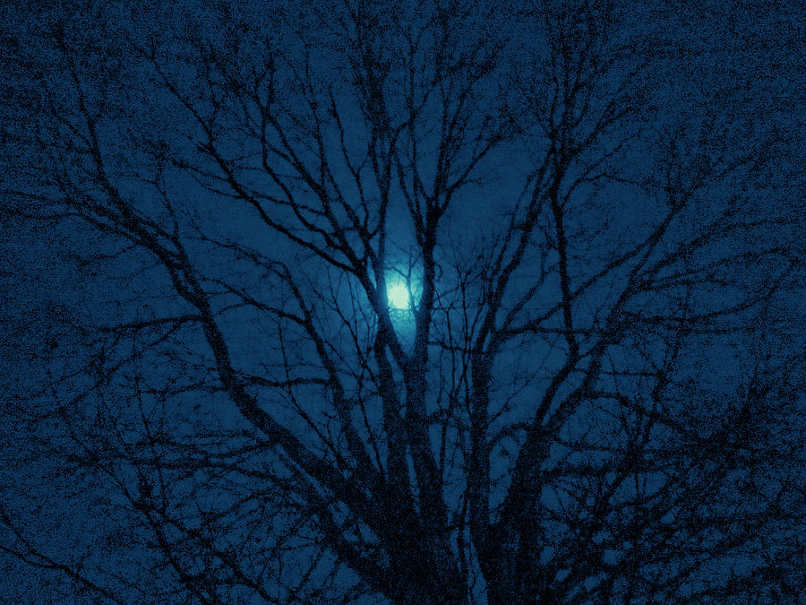 Cerulean Night Photograph by Denise Beverly