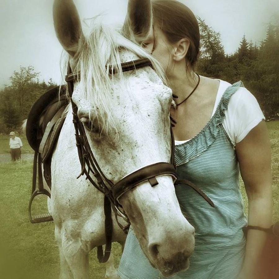 Horse Photograph - Cesja #horses #horse #horsesofinstagram by Zielona Kropka