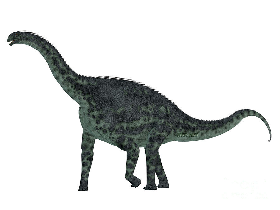 cetiosaurus