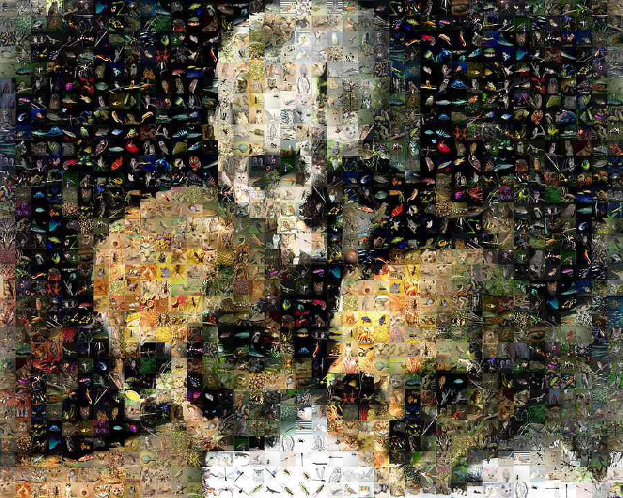 Mosaic Digital Art - Cezanne - Pyramid of Skulls by Gilberto Viciedo