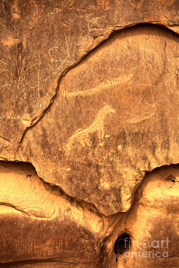 Chaco Horse Petroglyph Photograph by Adam Jewell