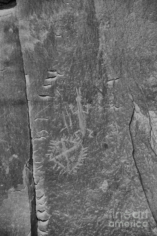 Chaco Petroglyph Figures Black And White Photograph by Adam Jewell