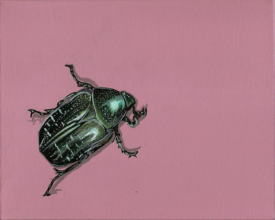 Chaf Beetle Painting by Jude Labuszewski