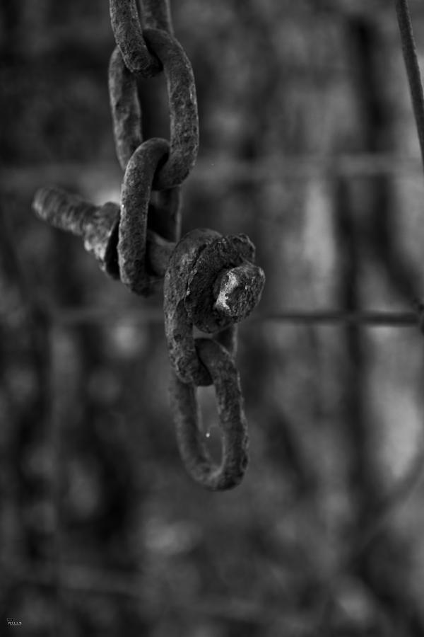 Chain Photograph by Jason Blalock