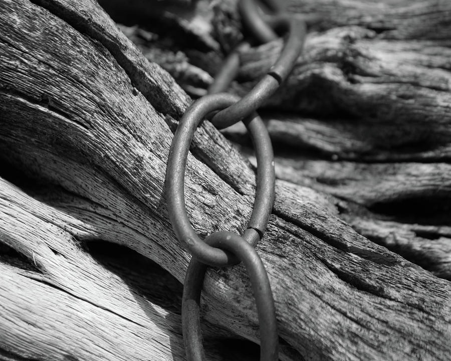 Chain Link - Black And White Photograph By Lee Hart 