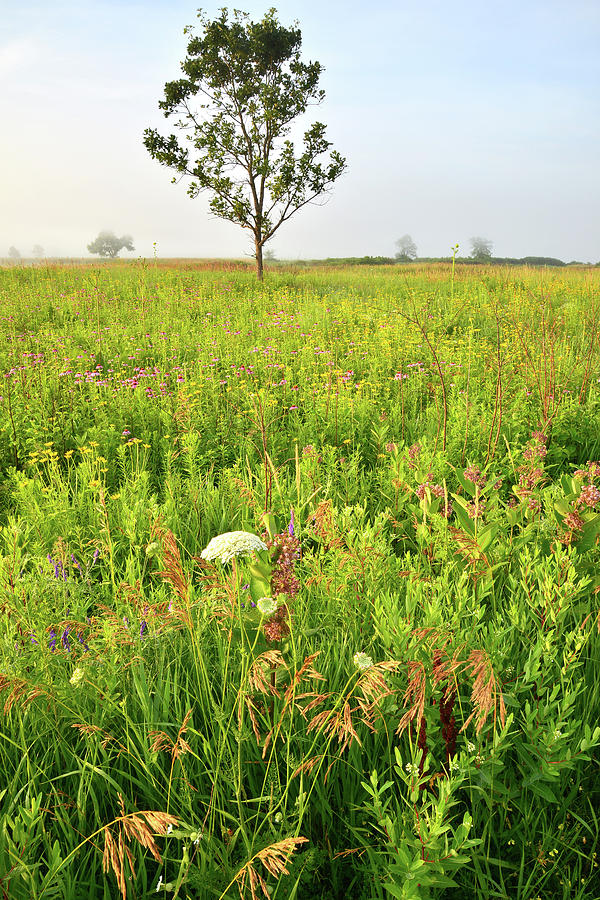 Chain-O-Lakes State Park Native Prairie Photograph by Ray Mathis