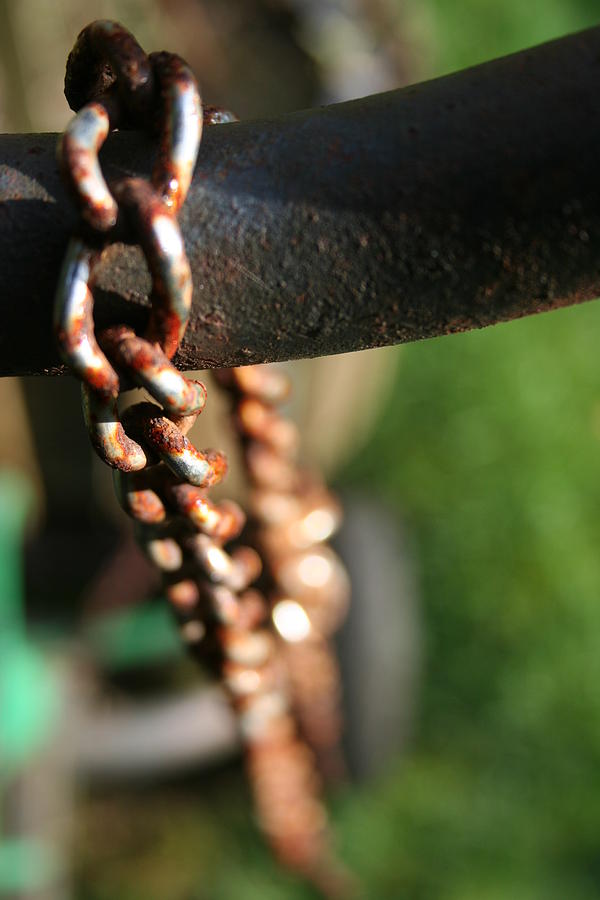 Chain Works Photograph by Angela Hansen