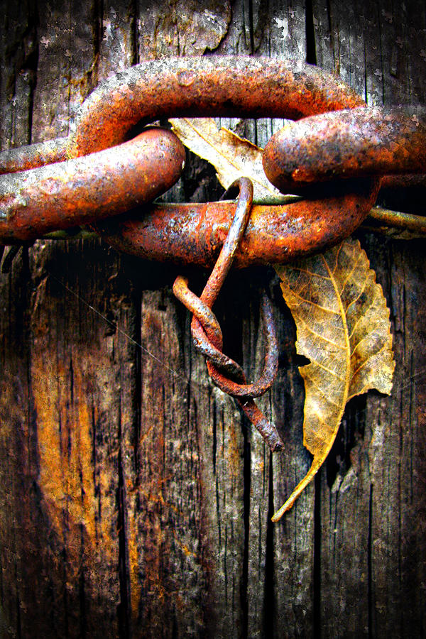 Chained Photograph by Deon Grandon