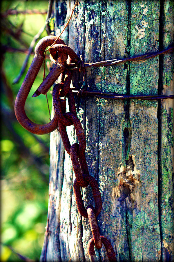 Chained Post Photograph by Susie Weaver