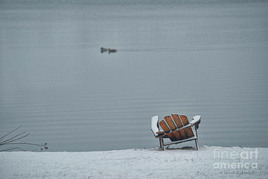 Chair at Lake in Winter Photograph by David Arment