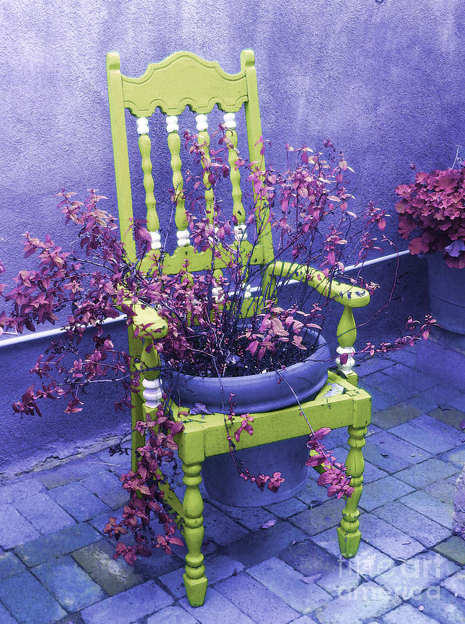 			Chair in Chartreuse		 Photograph by Ann Johndro-Collins
