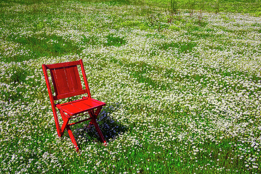 Chair In Open field Photograph by Garry Gay