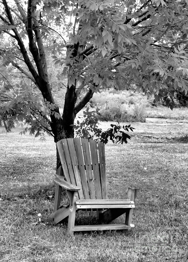 Chair Photograph by John Krakora