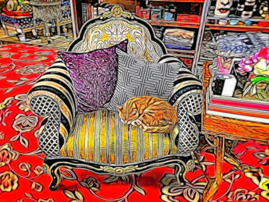 Chair with Orange Cat Digital Art by Judith Barath