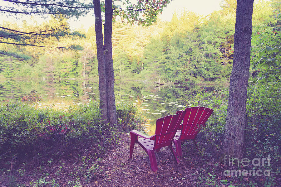 Chairs beside a forest pond Photograph by Edward Fielding