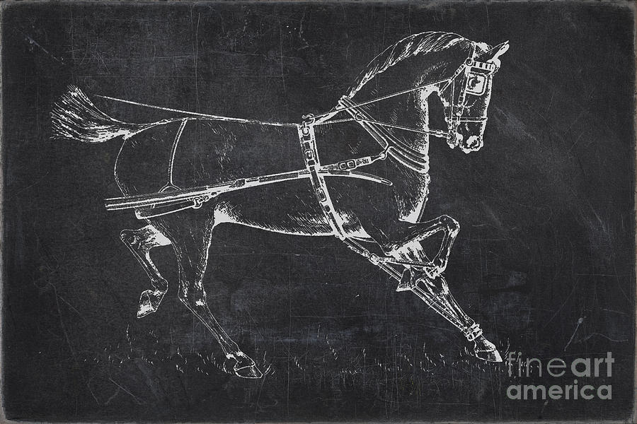 Chalkboard Horse Digital Art by Edward Fielding