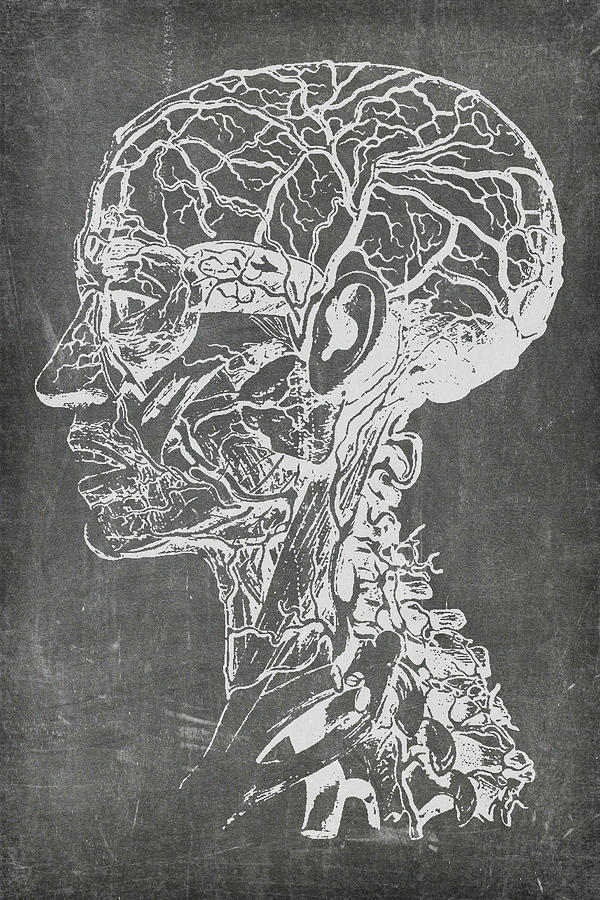 Chalkboard Medical Art by Renee Hong Chalkboard Medical Art by Renee Hong