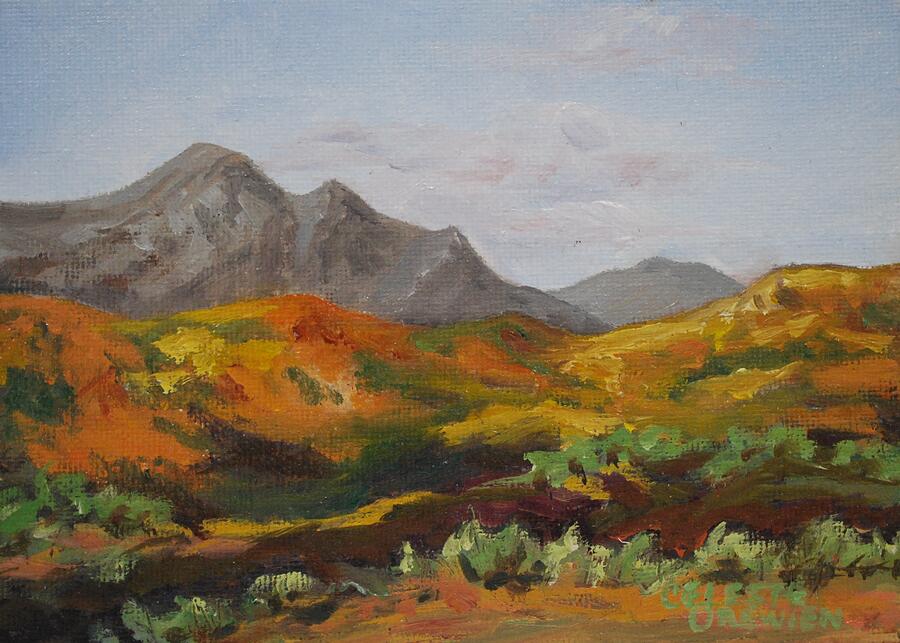 Colorful Valley Painting by Celeste Drewien
