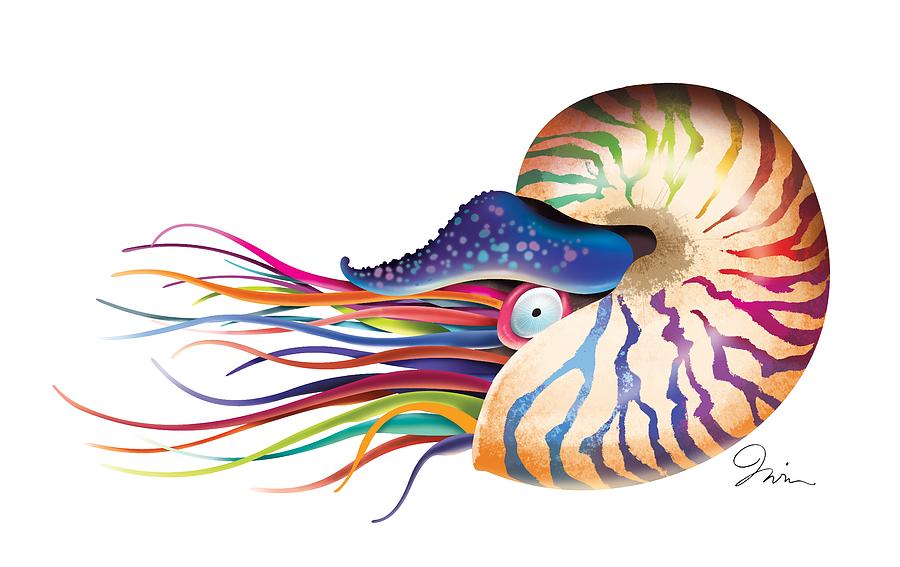 Fish Digital Art - Chambered Nautilus on White by Trevor Irvin