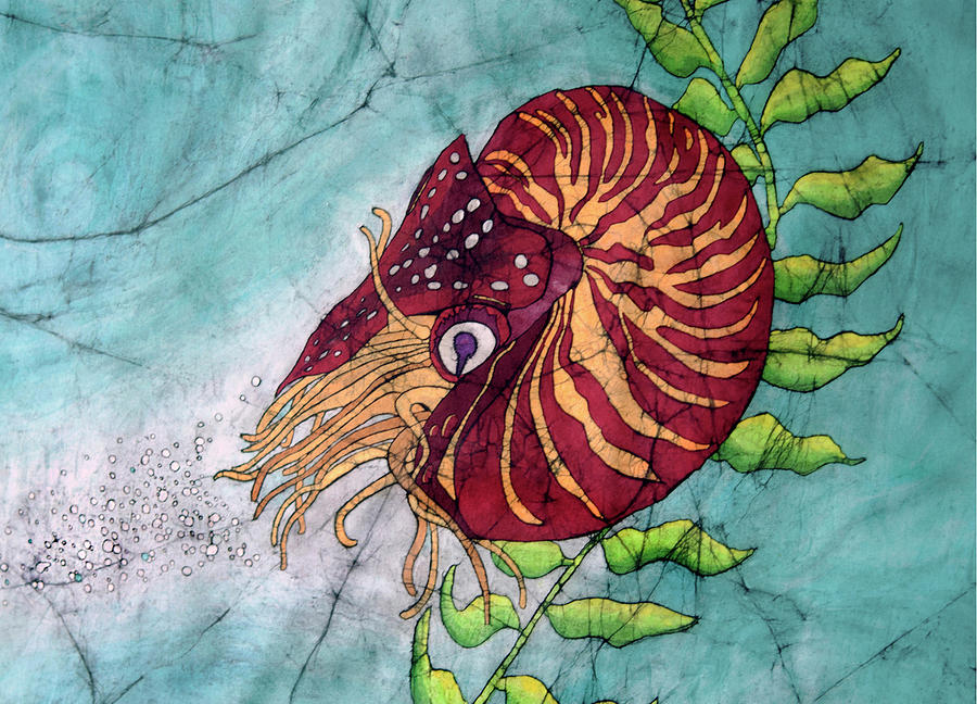 Nature Painting - Chambered Nautilus by Shari Carlson
