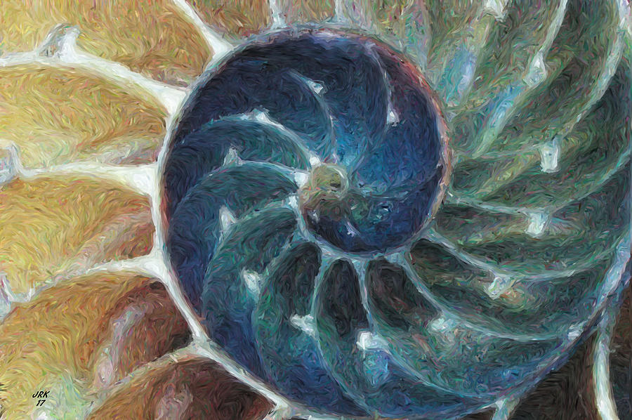 Chambered Nautilus Shell Painting By John Kohn Fine Art America