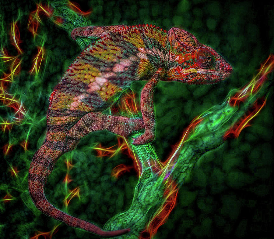Beyond Camouflage Exploring Fractalized Chameleon Art Photograph by Gregg Ott