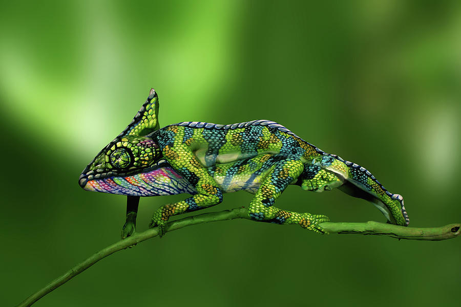 Animal Photograph - Chameleon Bodypainting Illusion by Johannes Stoetter