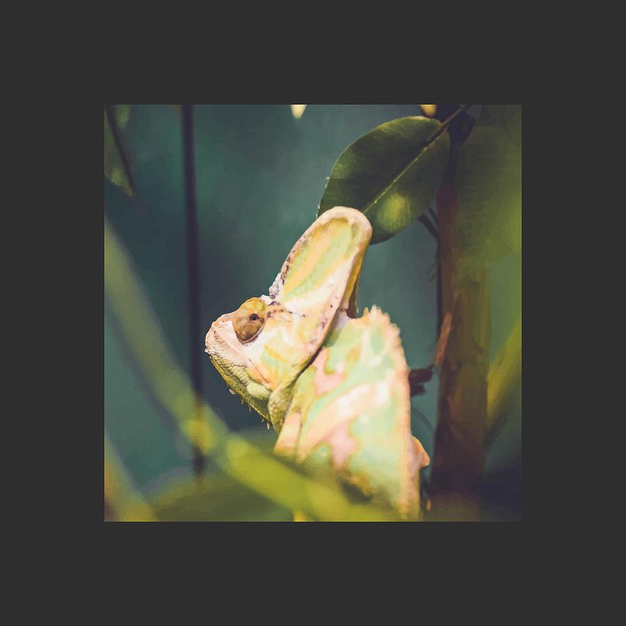 Jungle Photograph - Chameleon by Melissa Godbout