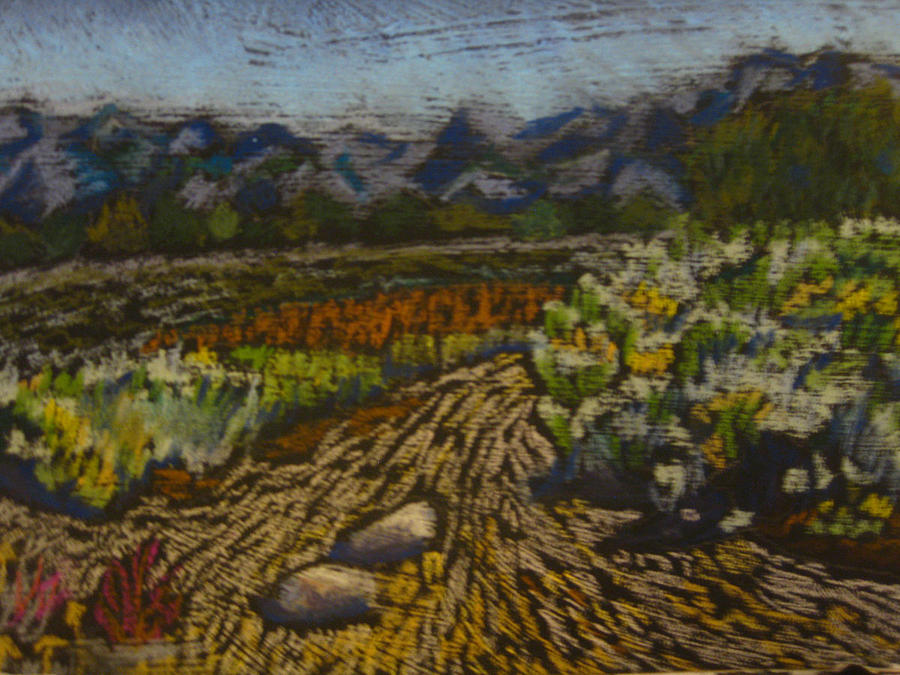 Chamisa in the Arroyo Pastel by Constance Gehring