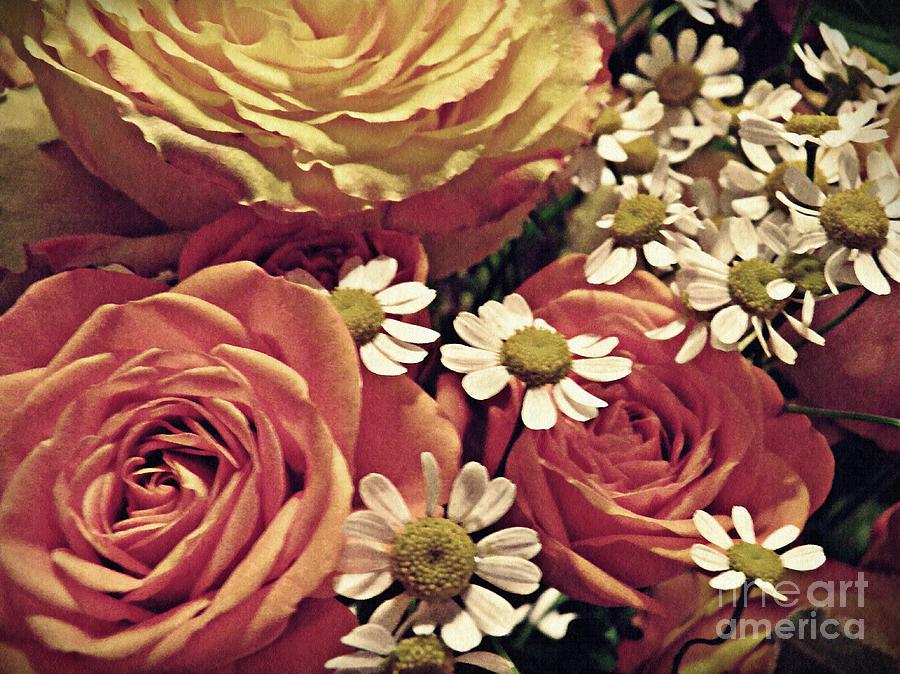 Rose Photograph - Chamomile and Roses 1 by Sarah Loft