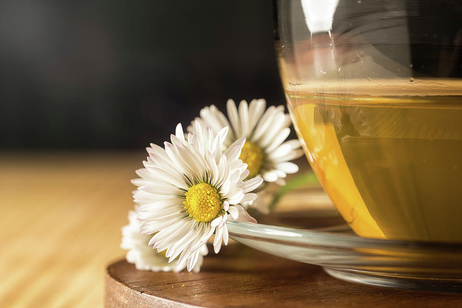 Chamomile by Traven Milovich Chamomile by Traven Milovich