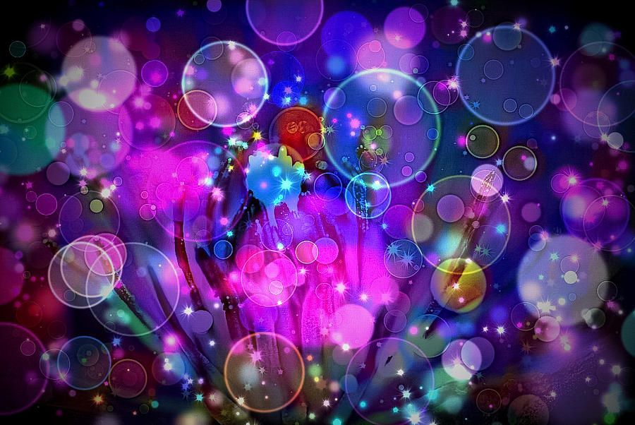 Champagne Bubbles  Digital Art by Don Wright