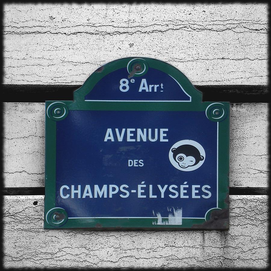 Champs Elysees Photograph by Roberto Alamino
