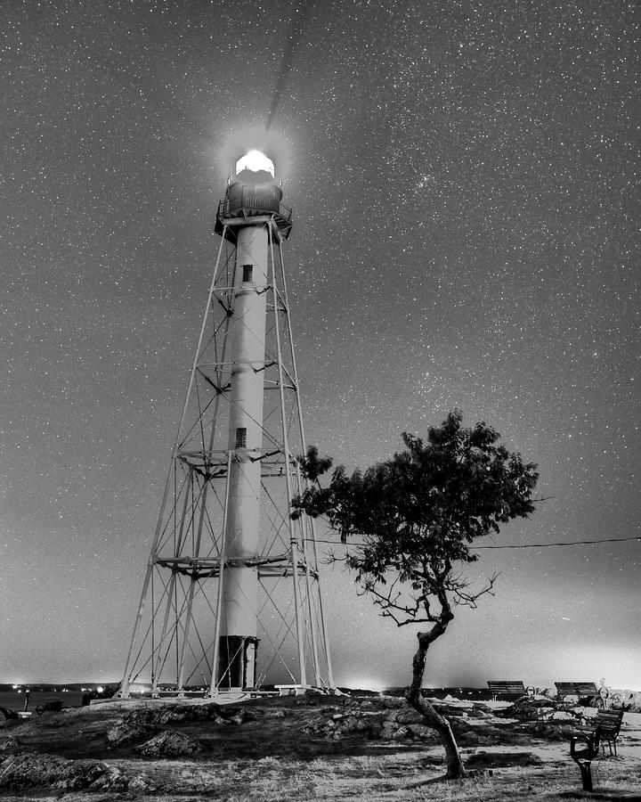 Chandler Hovey Light Tower at night Marblehead MA Tree Black and White Photograph by Toby McGuire