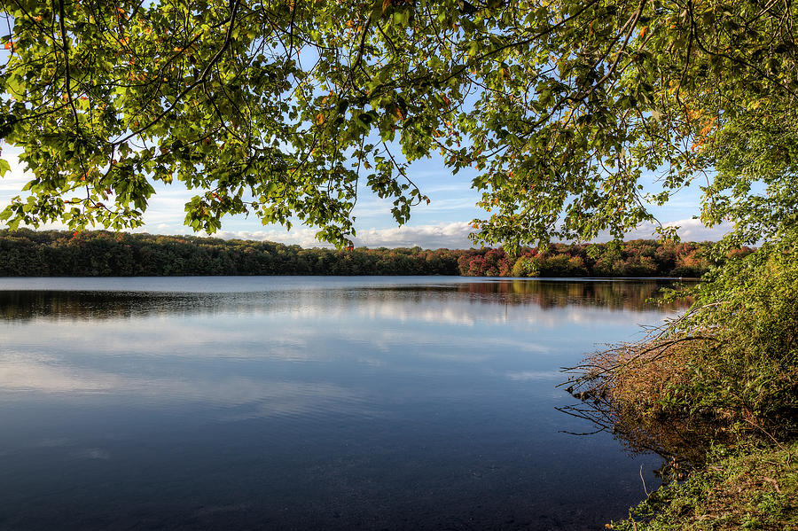 Change of Season, Southards Pond Photograph by Steve Gravano