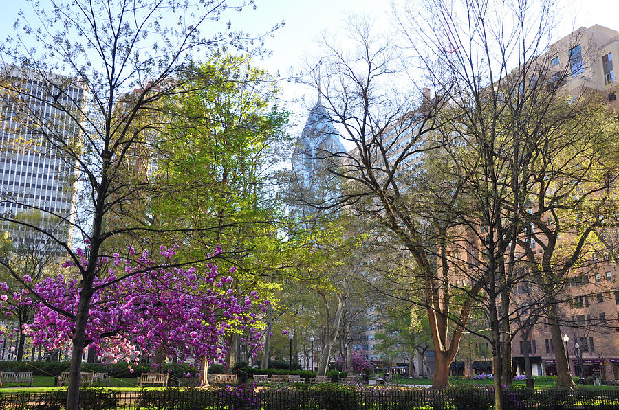 Change of Seasons - Rittenhouse Square - Spring Photograph by Bill Cannon