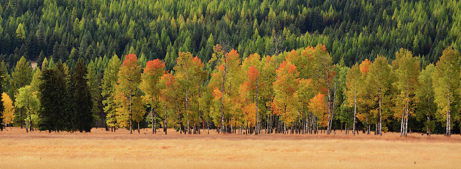 Changing of Colors Photograph by Whispering Peaks Photography