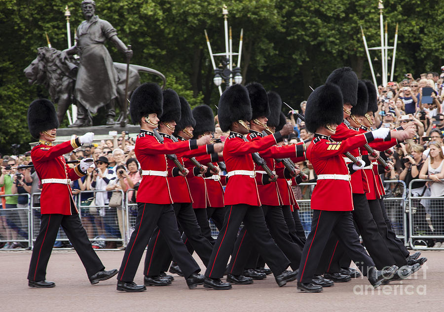Changing of the Guard Photograph by Timothy Johnson