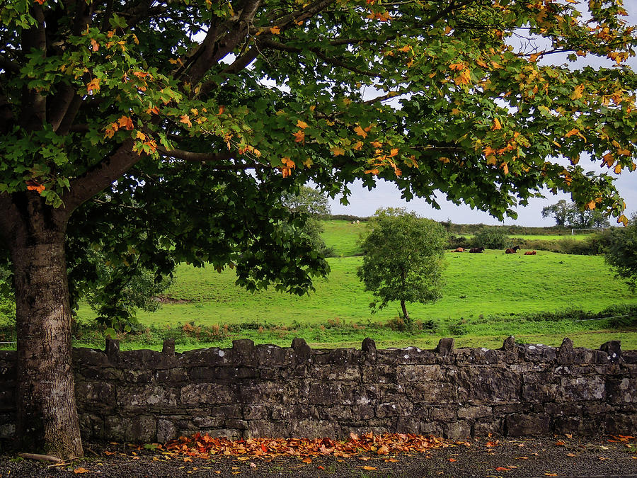 Changing season in the Irish countryside Photograph by James Truett