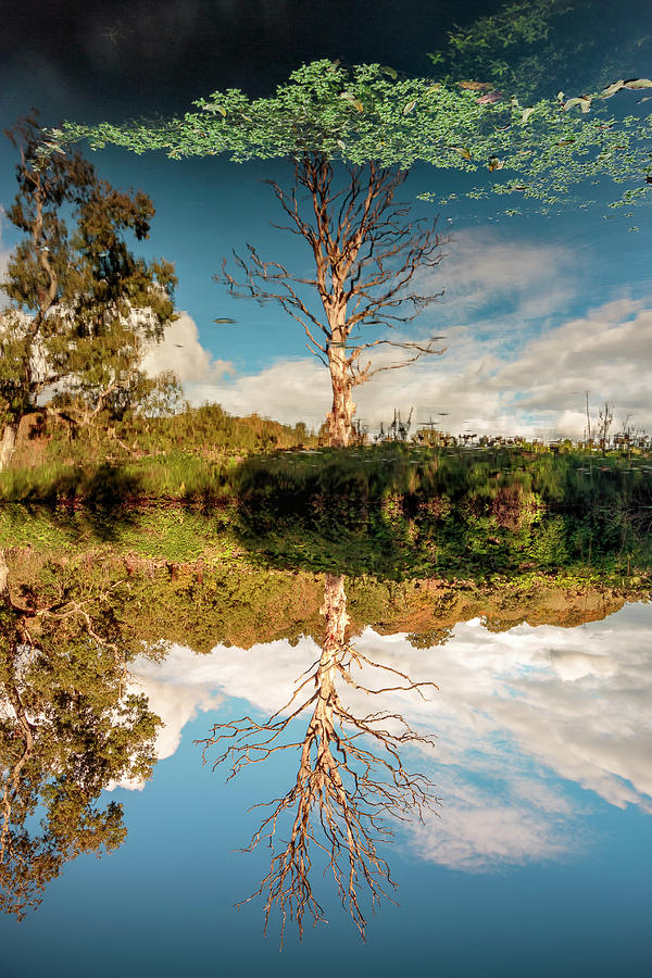 Autumn Photograph - Changing the Seasons by Glen Sumner Autumn Photograph - Changing the Seasons by Glen Sumner