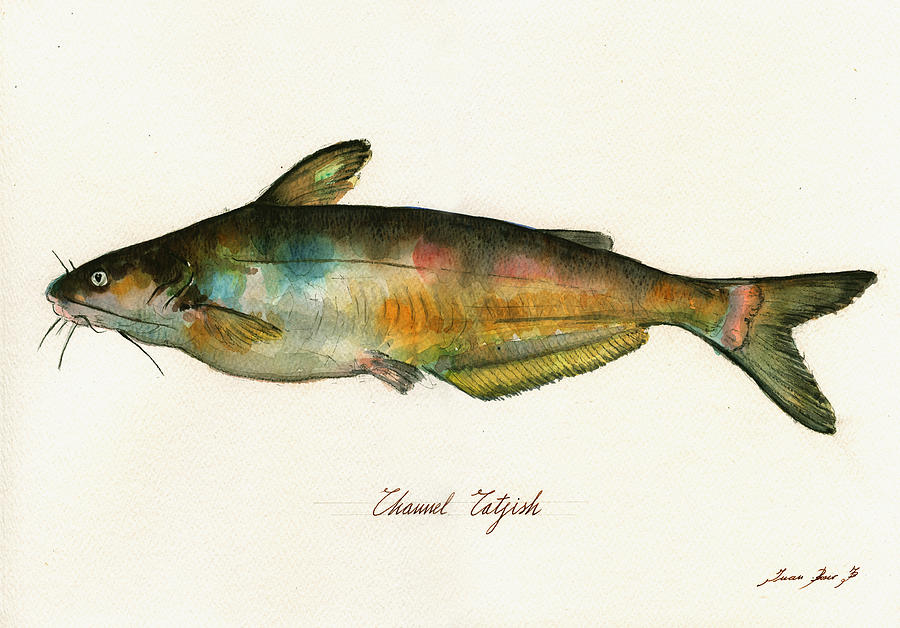 Catfish Painting - Channel Catfish fish animal watercolor painting by Juan  Bosco