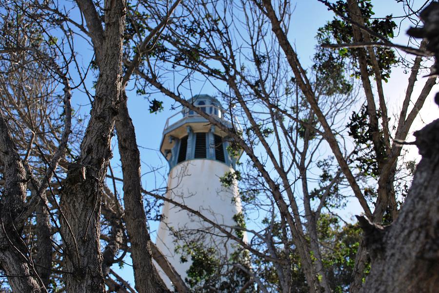 City Photograph - Channel Islands Harbor Lighthouse - View Through Trees 2 by Matt Quest
