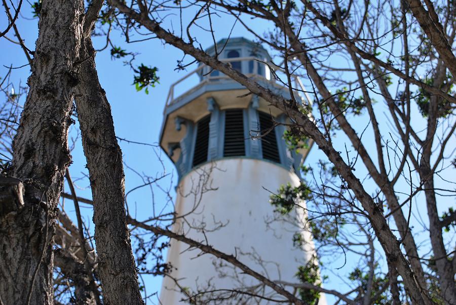 City Photograph - Channel Islands Harbor Lighthouse - View Through Trees by Matt Quest