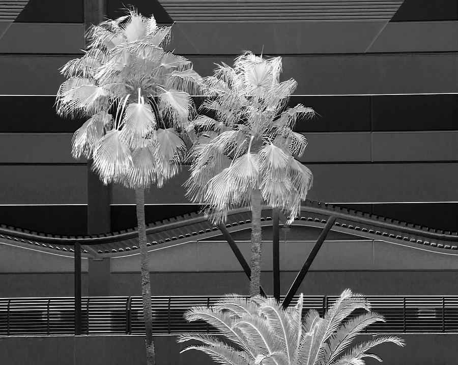 Channelside Architecture - Tampa, Florida - Infrared Photograph by Mitch Spence