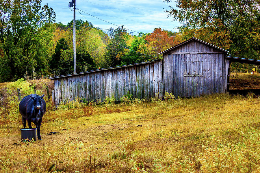 Fall Photograph - Chapel - Hill Barn by Barry Jones