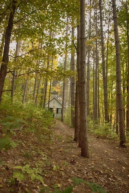 Chapel In The Forest Photograph